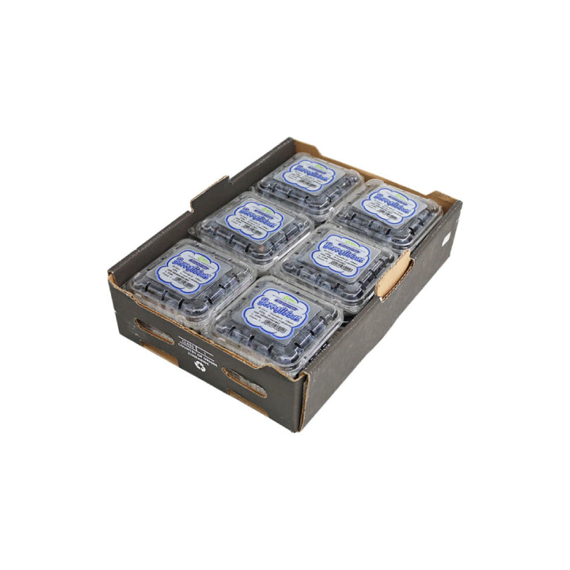 Blueberry Box 1.5kg