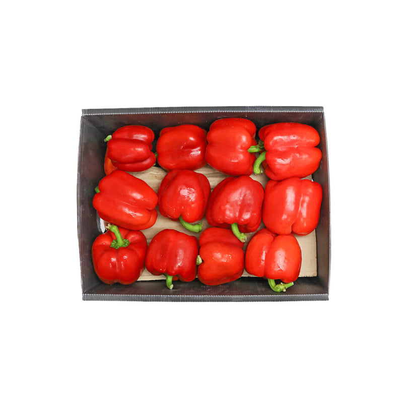 Capsicum Red Box (Iran) 4kg-4.5kg
