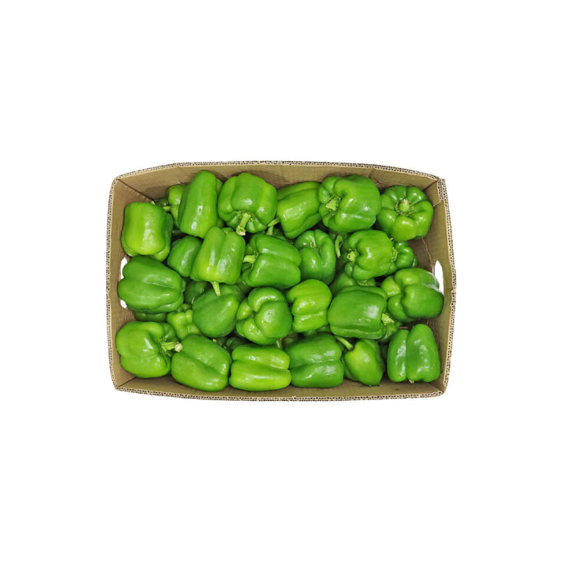 Capsicum Green Box (Iran) 5kg