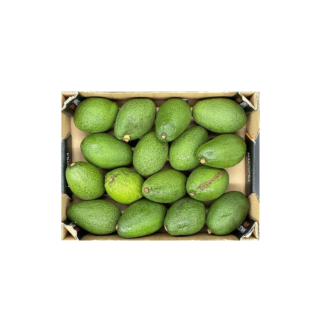 Avocado Fuerte Box (Kenya) 3.7kg - 3.8kg