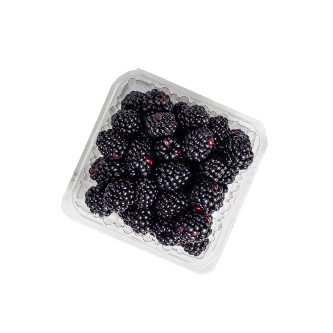 Blackberry Box (Mexico) 12X125g