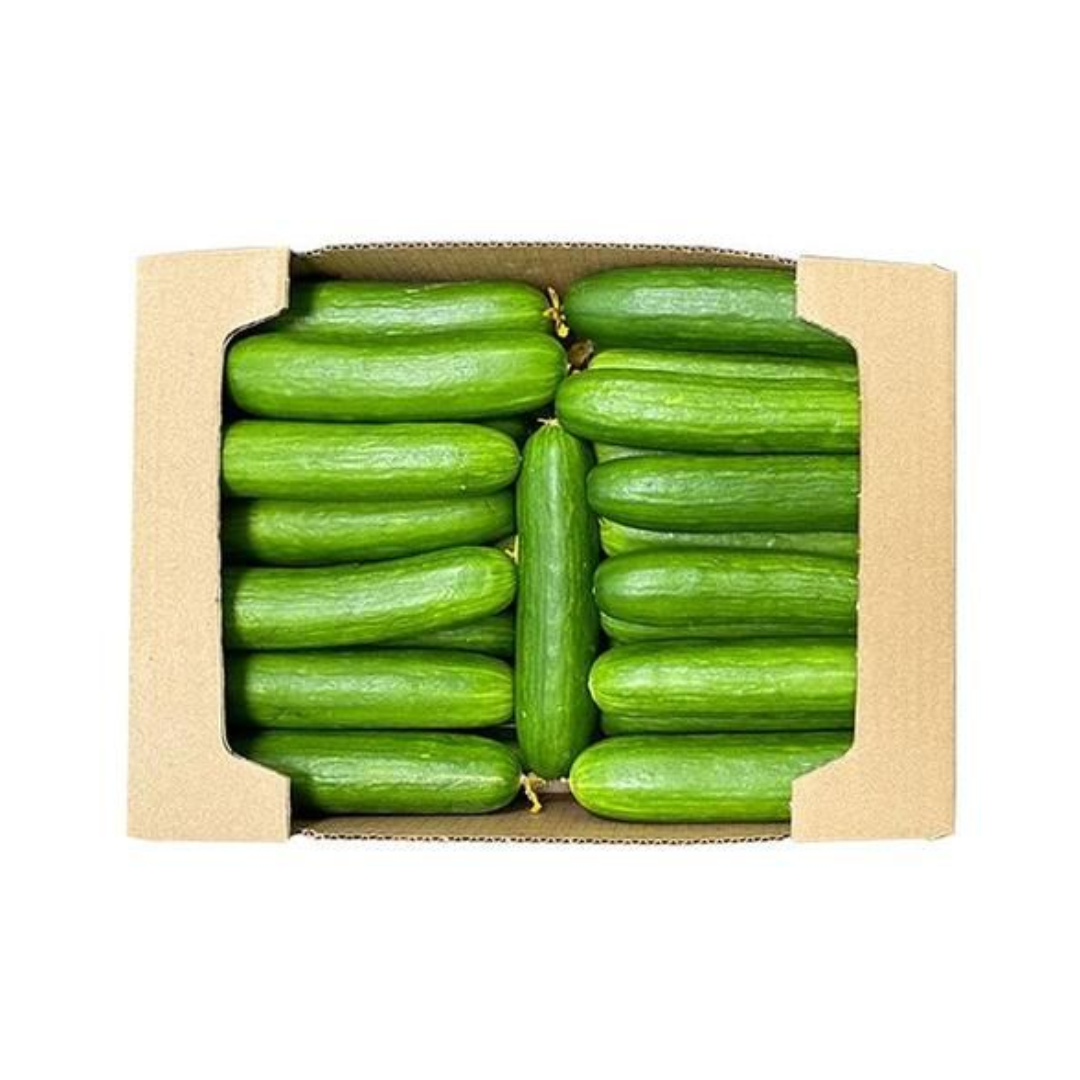 Cucumber Box (UAE) 10Kg