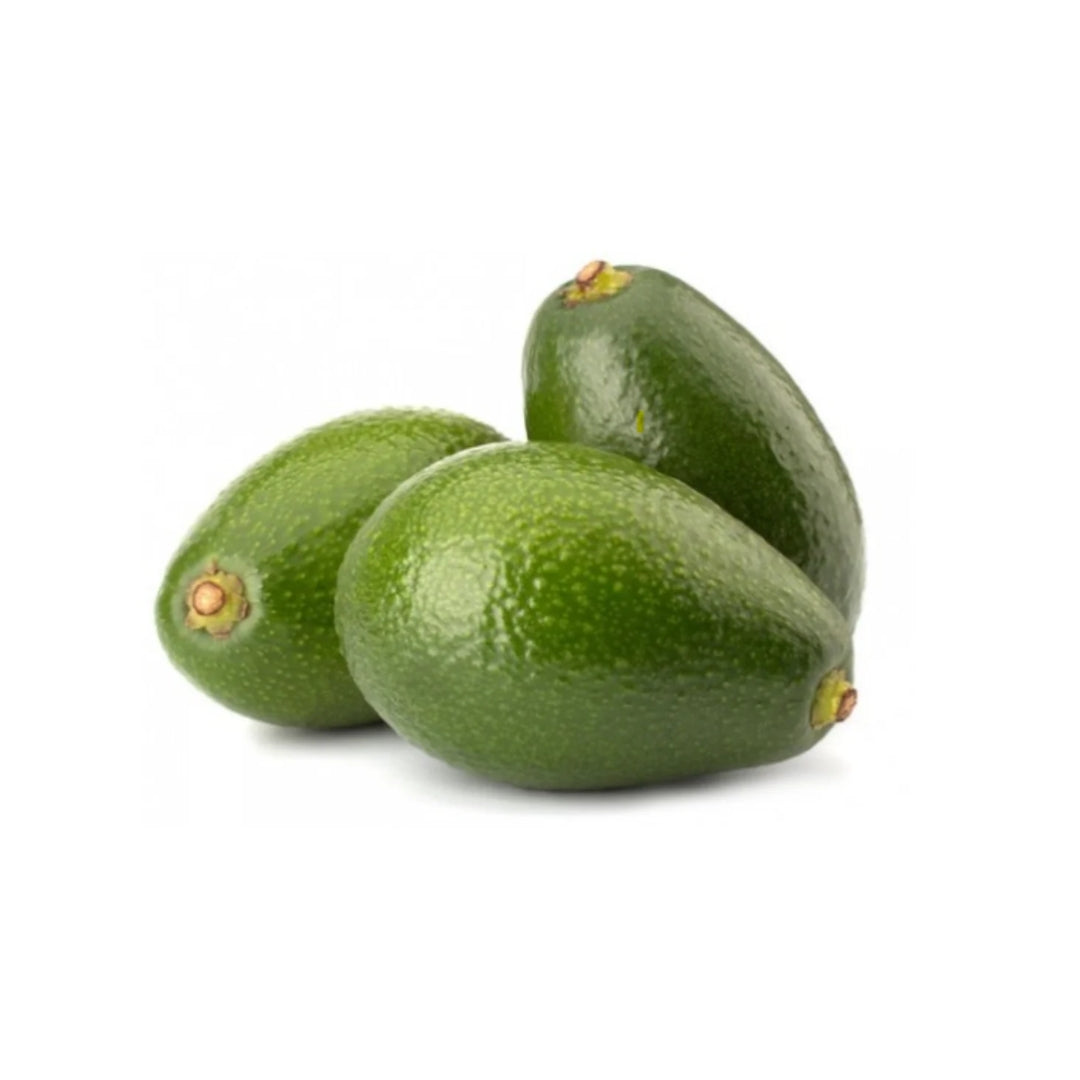 Avocado Fuerte (Uganda) 3 Pcs