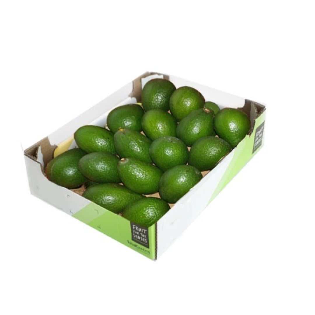 Avocado Fuerte Box (Uganda) 3.7kg - 3.8kg