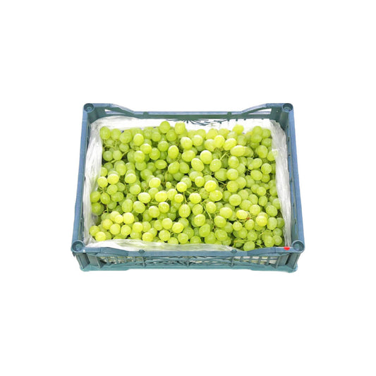 Grapes Green Seedless Box 3.5kg