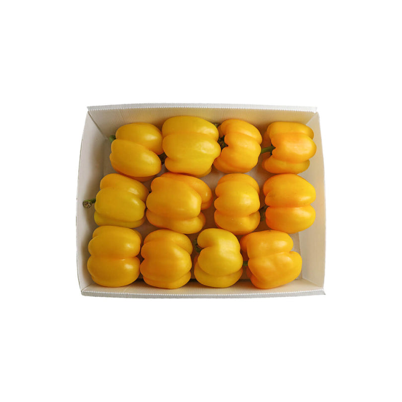 Capsicum Yellow Box (Iran) 4kg-4.5kg