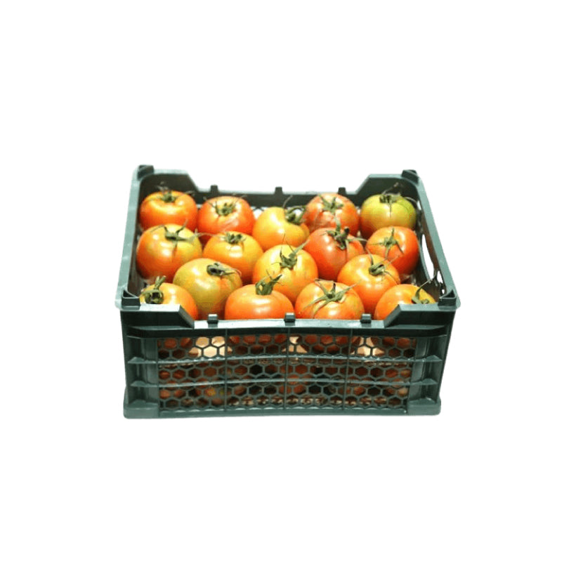 Tomato Green House Box (Iran) 5kg-5.5kg