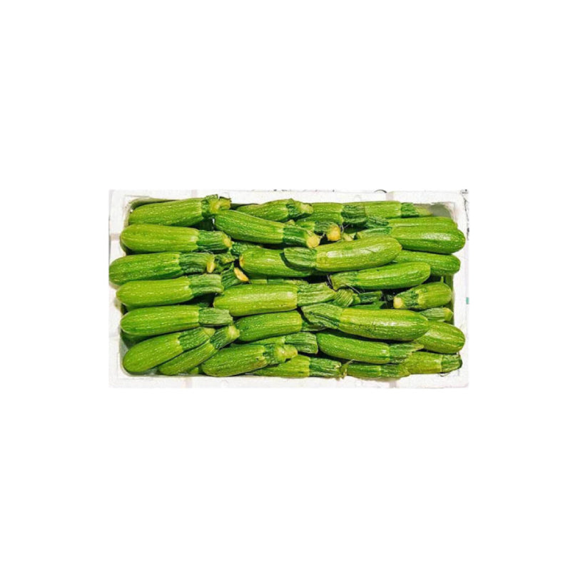 Baby Marrow Box (Jordan) 6kg